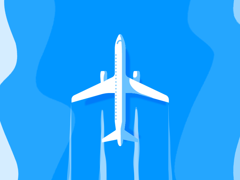 Flight Animation